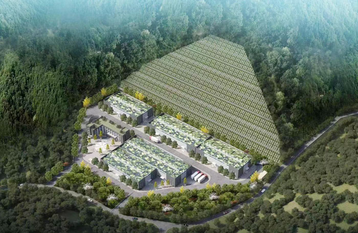热烈恭喜十堰香蕉视频在线免费看化工新扩生产基地即将动工！